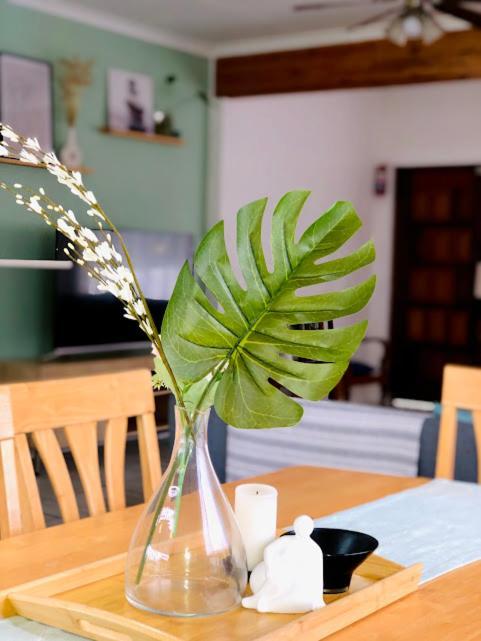 Danville Forest Guest House & Apartments Durban Zewnętrze zdjęcie